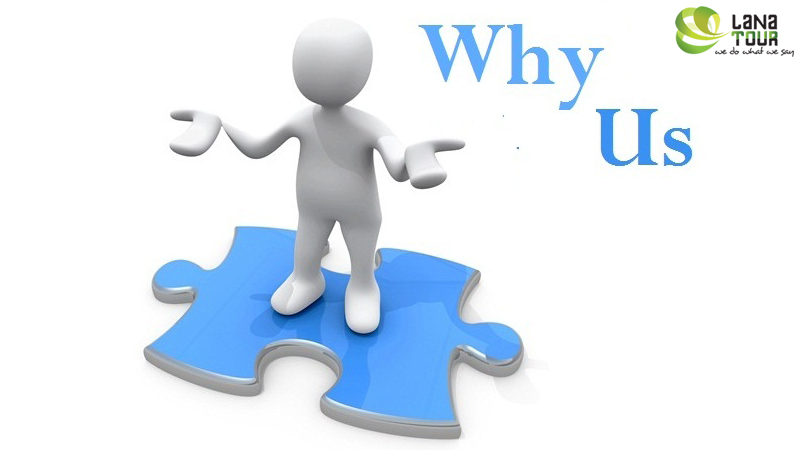 Why Choose Us 
